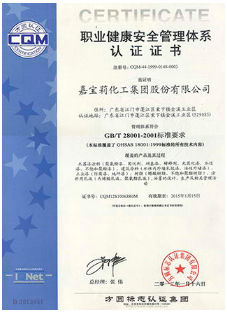 職業(yè)健康安全管理體系認(rèn)證證書.png